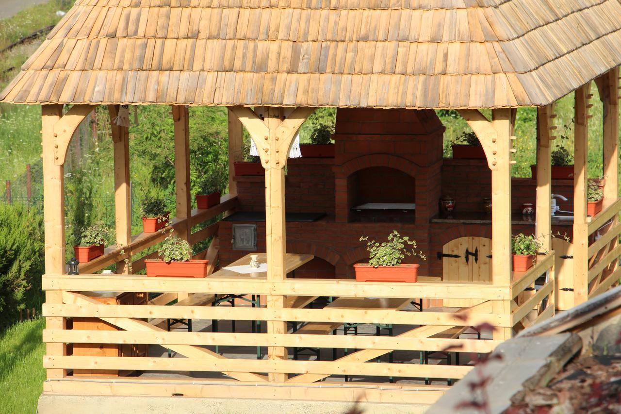 Casa Ralucai Hotel Moisei Exterior photo